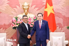 Chủ tịch Quốc hội Trần Thanh Mẫn tiếp Đại sứ Indonesia Denny Abdi. (Ảnh: Doãn Tấn/TTXVN)