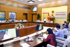 Quang cảnh phiên họp. (Ảnh: Doãn Tấn/TTXVN)