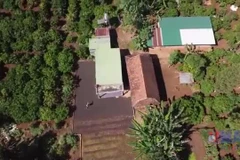 Người lầm lỡ trở về sinh hoạt tôn giáo chính thống, chung tay giữ gìn buôn làng