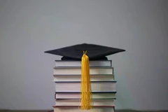 Ảnh minh họa. (Nguồn: Panoramaed)