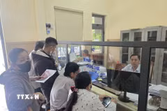 Nhờ ứng dụng AI vào thủ tục hành chính, các địa phương ở thành phố Đà Nẵng đã rút ngắn thời gian xử lý, không để xảy ra tình trạng hồ sơ bị “quay vòng” vì lỗi nhỏ. (Ảnh: Khoa Chương/TTXVN)