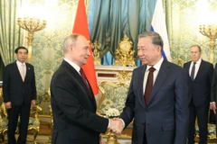 Tổng Bí thư Tô Lâm hội đàm hẹp với Tổng thống Nga Vladimir Putin. (Ảnh: Thống Nhất/TTXVN)