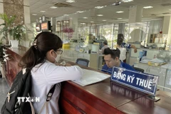 Người dân thực hiện giao dịch tại Cục Thuế Thành phố Hồ Chí Minh. (Ảnh: Hứa Chung/TTXVN)