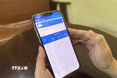 (Ảnh minh họa: Bích Huệ/TTXVN)