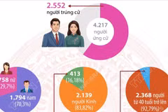 Cơ cấu 2.552 người trúng cử đại biểu HĐND cấp tỉnh nhiệm kỳ 2026-2031