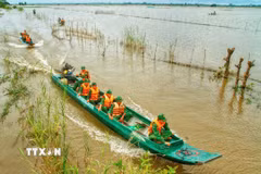 Lực lượng biên phòng tuần tra chống buôn lậu. (Ảnh: Công Mạo/TTXVN)