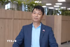 Giáo sư-Tiến sỹ Nguyễn Hoàng Minh, Giáo sư Khoa học Máy tính tại Đại học Công nghệ Auckland (AUT), Phó Chủ tịch Mạng lưới Tri thức Việt Nam tại New Zealand, thành viên Hội đồng Học thuật AUT. (Ảnh: Lê Đạt/TTXVN)