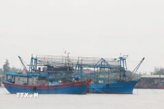 Tàu cá hoạt động trên biển. (Ảnh minh họa: TTXVN phát)