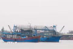 Tàu cá hoạt động trên biển. (Ảnh minh họa: TTXVN phát)