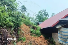 Mưa lớn kéo dài gây sạt lở đất làm hỏng nhà người dân Lào Cai. (Ảnh: TTXVN phát)