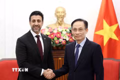 Bộ trưởng Bộ Ngoại giao Lê Hoài Trung tiếp Bộ trưởng Bộ Thương mại Quốc tế Canada Maninder Sidhu. (Ảnh: An Đăng/TTXVN)
