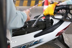 Bộ Công Thương thu hồi Giấy xác nhận đủ điều kiện làm thương nhân phân phối xăng dầu đối với Công ty Trách nhiệm hữu hạn Thương mại KK Petro. Ảnh minh họa. (Nguồn: TTXVN)