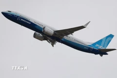 Máy bay của hãng Boeing. (Ảnh: THX/TTXVN)