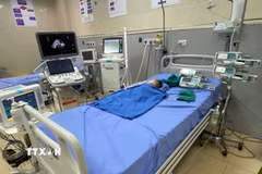 Bệnh nhân nhi 3 tháng tuổi bị sốc phản vệ nặng do uống sữa công thức. (Ảnh: TTXVN phát)