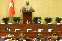 Phó Chủ tịch Quốc hội Nguyễn Khắc Định phát biểu. (Ảnh: Doãn Tấn/TTXVN)