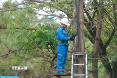 Ảnh minh họa. (Nguồn: TTXVN)