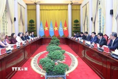 Chủ tịch nước Lương Cường tiếp bà Pauline Tamesis, Điều phối viên Thường trú và các Trưởng đại diện các tổ chức của Liên hợp quốc tại Việt Nam ngày 18/9. (Ảnh: Lâm Khánh/TTXVN)