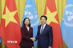 Chủ tịch nước Lương Cường tiếp bà Pauline Tamesis, Điều phối viên Thường trú Liên hợp quốc tại Việt Nam. (Ảnh: Lâm Khánh/TTXVN)