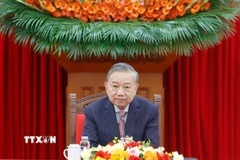 Tổng Bí thư Tô Lâm điện đàm Tổng Thư ký Đảng Hành động nhân dân Singapore (PAP), Thủ tướng Cộng hòa Singapore Lawrence Wong. (Ảnh: Thống Nhất/TTXVN)