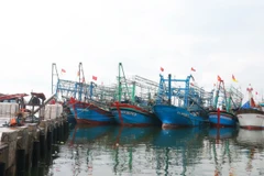 Tàu cá vào neo đậu tại Bến cá Bắc Cửa Việt, huyện Gio Linh (Quảng Trị) để tránh trú bão số 1. (Ảnh: Nguyên Lý/TTXVN)
