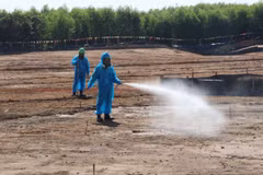 Phun xịt, xử lý dioxin tại sân bay Biên Hòa. (Ảnh: Công Phong/TTXVN)
