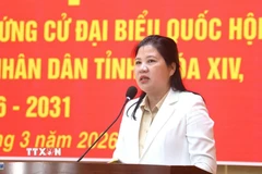 Phó Chủ tịch Hội đồng Dân tộc của Quốc hội Đinh Thị Phương Lan thông qua chương trình hành động với cử tri đặc khu Lý Sơn. (Ảnh: TTXVN phát)