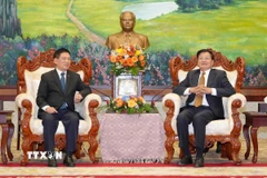 Phó Thủ tướng Chính phủ Hồ Đức Phớc hội kiến Tổng Bí thư, Chủ tịch nước Lào Thongloun Sisoulith. (Ảnh: Đỗ Bá Thành/TTXVN)