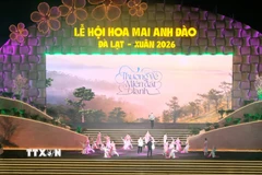 Tiết mục nghệ thuật trong chương trình. (Ảnh: Nguyễn Dũng/TTXVN)