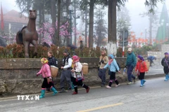 Khách du lịch quốc tế tại Sa Pa. (Ảnh: Quốc Khánh/TTXVN)