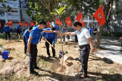 Lực lượng thanh niên thành phố Đà Nẵng trồng cây xanh. (Ảnh: Khoa Chương/TTXVN)