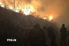 Hiện trường vụ cháy rừng. (Ảnh: Văn Đảm/TTXVN phát)