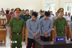 Quang cảnh phiên tòa giả định xử lý vi phạm chống khai thác bất hợp pháp. (Ảnh: Hồng Nhung/TTXVN)