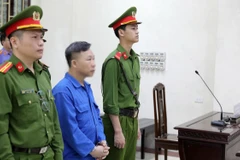 Bị cáo Lưu Bình Nhưỡng tại phiên tòa. (Ảnh: Thế Duyệt/TTXVN)
