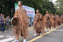 Lễ hội đường phố Măng Đen - Bản giao hưởng đại ngàn do hơn 300 nghệ nhân và người dân trên địa bàn xã thực hiện. (Ảnh: Dư Toán/TTXVN)