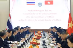Tổng Bí thư, Chủ tịch nước Tô Lâm hội đàm chính thức với Thủ tướng Thái Lan Anutin Charnvirakul. (Ảnh: Thống Nhất/TTXVN)