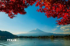 Phú Sĩ vào Thu khiến lòng người say đắm bởi vẻ uy nghi, tĩnh lặng. (Ảnh: Xuân Giao/TTXVN)