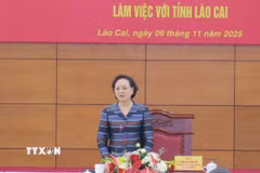 Phó Thủ tướng Chính phủ Phạm Thị Thanh Trà phát biểu chỉ đạo tại buổi làm việc. (Ảnh: Hương Thu/TTXVN)