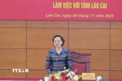 Phó Thủ tướng Chính phủ Phạm Thị Thanh Trà phát biểu chỉ đạo tại buổi làm việc. (Ảnh: Hương Thu/TTXVN)
