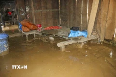 Nhiều nhà dân ở Điện Biên ngập trong nước và bùn đất (ảnh chụp lúc 7g25 ngày 2/8). (Ảnh: Xuân Tư/TTXVN)