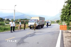 Kiểm tra công tác phòng dịch tả lợn châu Phi. (Ảnh minh họa: Nguyễn Văn Cảnh/TTXVN)