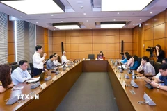 Đoàn đại biểu Quốc hội các tỉnh Hà Nam, Lai Châu, An Giang và Kon Tum thảo luận ở tổ. (Ảnh: Doãn Tấn/TTXVN)