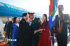 Cán bộ, nhân viên Đại sứ quán đón Thủ tướng Phạm Minh Chính và Phu nhân tại sân bay O.R. Tambo, Johannesburg, Nam Phi. (Ảnh: Dương Giang/TTXVN)