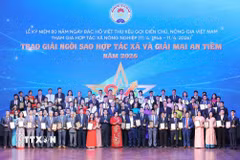 Ủy viên Ban Chấp hành Trung ương Đảng, Phó Thủ tướng Chính phủ Hồ Quốc Dũng và Tiến sỹ Cao Xuân Thu Vân, Bí thư Đảng ủy, Chủ tịch Liên minh Hợp tác xã Việt Nam, Phó Ban Chỉ đạo Quốc gia về kinh tế tập thể trao giải Ngôi sao Hợp tác xã lần thứ 3 năm 2026 cho các hợp tác xã xuất sắc. (Ảnh: Lê Đông/TTXVN)