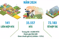 Kinh tế tập thể, hợp tác xã đóng góp khoảng 4,8% GDP cả nước