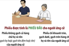 Việc cử tri ghi phiếu bầu cử được thực hiện như thế nào? 