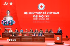 Tổng Bí thư, Chủ tịch nước Tô Lâm phát biểu chỉ đạo. (Ảnh: Thống Nhất/TTXVN)