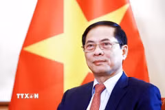 Phó Thủ tướng, Bộ trưởng Bộ Ngoại giao Bùi Thanh Sơn. (Ảnh: TTXVN phát)