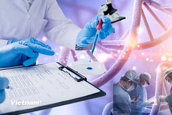 (Ảnh minh họa. Nguồn: Vietnam+)