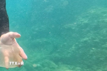 Lặn biển. (Ảnh minh họa: TTXVN phát)