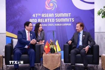 Thủ tướng Phạm Minh Chính gặp Quốc vương Brunei Hassanal Bolkiah. (Ảnh: Dương Giang/TTXVN)